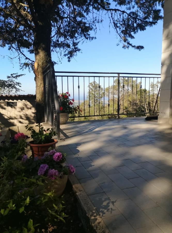 Loft Collina Vista Mare Apartman Castellina Marittima Kültér fotó